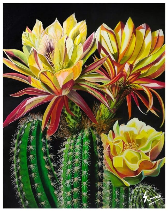 Bold & Beautiful – Original Cactus Bloom Botanical Painting by Sumana Burman Fine Art, hyperrealistic acrylic artwork of yellow and red desert flowers on green cactus