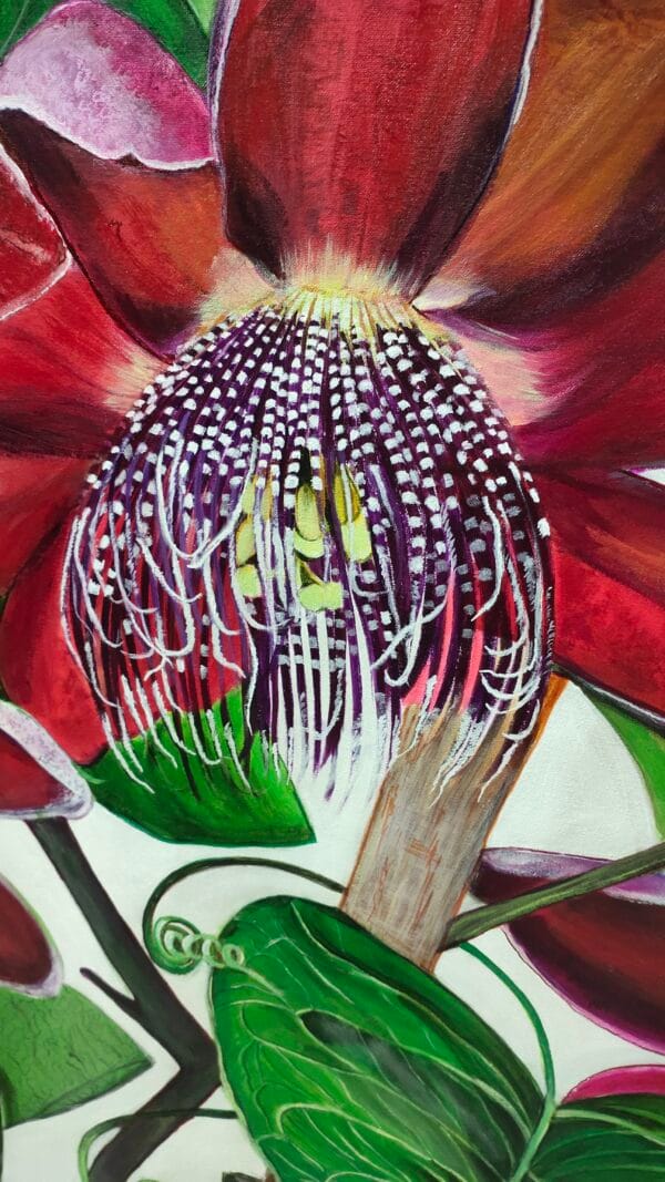 Rare Passion-Passion Flower Botanical Painting - Image 2