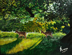 The Grazers