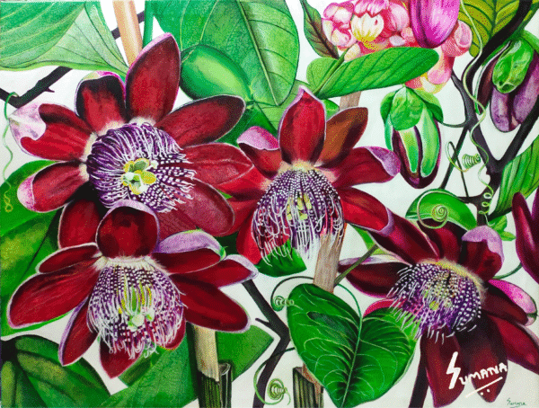 Rare Passion-Passion Flower Botanical Painting