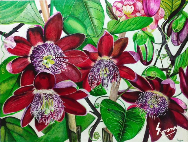 Rare Passion – Passion Flower Botanical Painting by Sumana Burman | Original Large Hyperrealism Acrylic Red Floral Artwork | SumanaBurmanFineArt